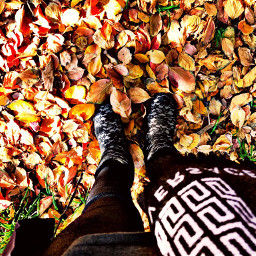 picsart iphonephotography edited beautiful fall freetoedit