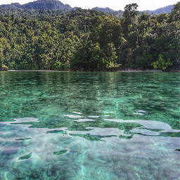 rajaampat island water adventure papua